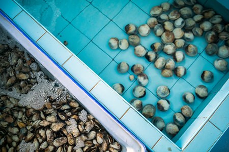 The variety of live seafood is a main draw at Preecha Seafood.