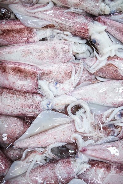 Locals go to buy fresh catches at the Naklua seafood market.