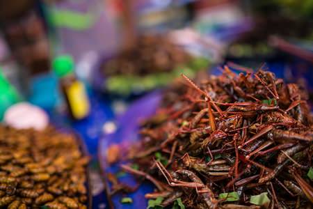 Deep-fried insects, a delicacy from northeastern Thailand, found at a night market.