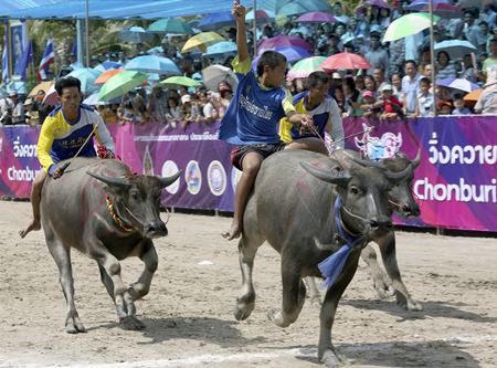 A young Thai buffalo rider, center, raises his arm after winning a preliminary round race during. (AP Photo/Apichart Weerawong)