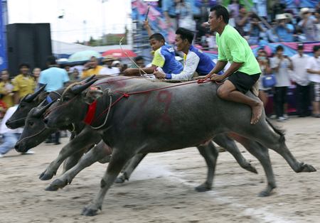 Buffalo riders cross the finish line during. (AP Photo/Apichart Weerawong)