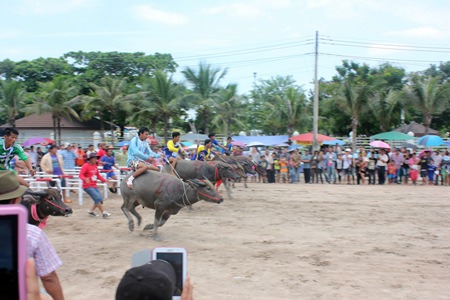 The starting gun sounds, and off they go!