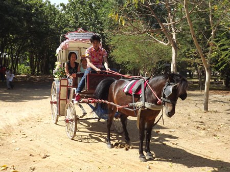 Children and parents are treated to horse and buggy rides around the Sanctuary of Truth.