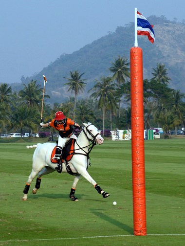 Caroline Link scores for Thai Polo.