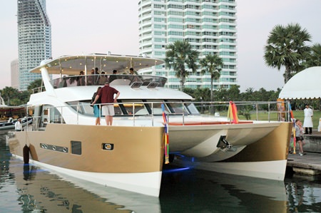 The heliotrope in all her beauty and grandeur.