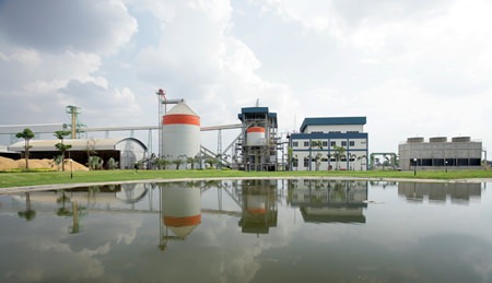 The Mungcharoen Biomass Project in Thailand is a biomass project that uses a rice husk fuelled combustion technique to generate electricity. The electricity generated powers two local rice mills and is also fed into the local power grid. The project converts rice husks, previously considered waste, into a valued commodity while at the same time reducing reliance on the combustion of carbon intensive fossil fuels.