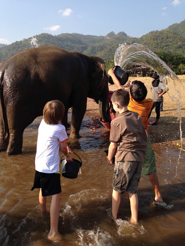 Washing the elephants at the Elephant Nature Park in Chiang Mai.