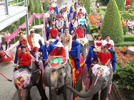 A hundred couples made their wedding vows extra special by reciting them on the backs of elephants on Valentine’s Day at Nong Nooch Tropical Garden.