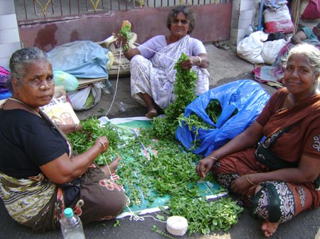 Preparing the basil leaves to pay respect to God Shiva.