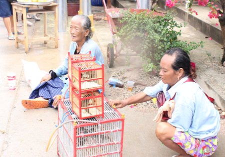 Outside of Wat Bunsamphan, vendors sell birds for citizens to release back to nature for luck, which is a personal belief and a form of donation for the unfortunate.