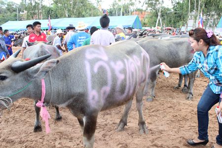 Spray-on ‘go faster’ stripes - always worth a try.