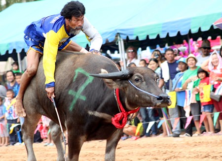 Hanging on for dear life – man and beast head for the finish line.