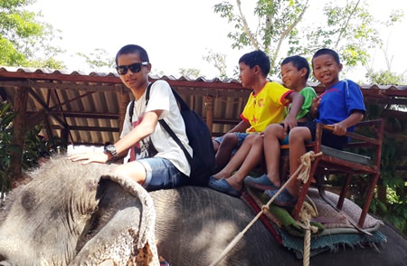All the kids and adults always look forward to elephant trekking near Klong Prao.