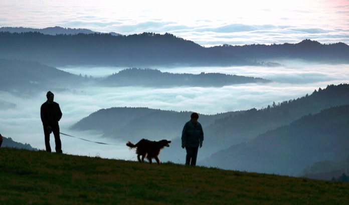 A man and a woman walk a dog along the Schauinsland Mountain near Freiburg, southern Germany, with fields of fog in the Rhine valley below. The long-debated question of where dogs first appeared has always been complex, and a new study suggests it may have two answers. (AP Photo/Winfried Rothermel)
