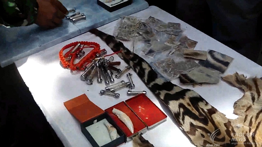 Tiger’s hides and amulets seized from a truck leaving Tiger’s Temple