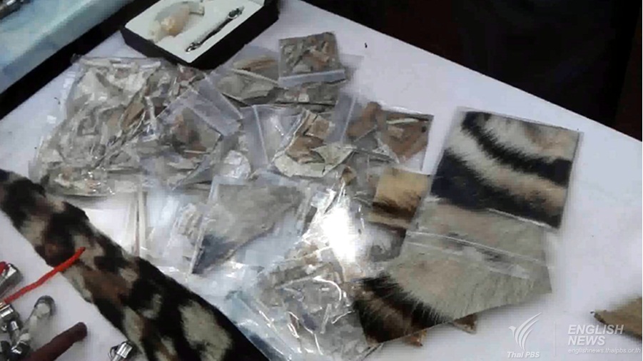 Tiger’s hides and amulets seized from a truck leaving Tiger’s Temple