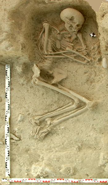 This undated picture provided by the Paliambela Excavation Project Archive, shows a human burial from the archaeological site of Paliambela in northern Greece. Stone Age people from the Aegean region moved into central and southern Europe some 8,000 years ago and introduced agriculture to a continent still dominated at the time by hunter-gatherers, scientists say. (K. Kotsakis, P. Halstead/Paliambela Excavation Project Archive via AP)