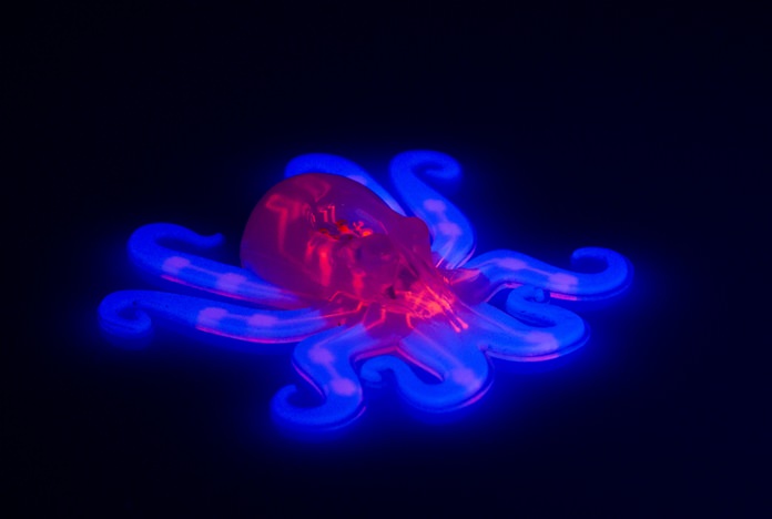 This image provided by Ryan Truby, Michael Wehner, and Lori Sanders, Harvard University, shows the octobot, an entirely soft, autonomous robot. (Ryan Truby, Michael Wehner, and Lori Sanders, Harvard University via AP)