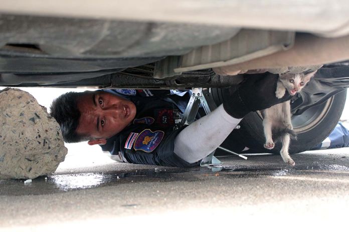 Sawang Boriboon Foundation officers help free a kitten stuck in a car’s engine compartment.