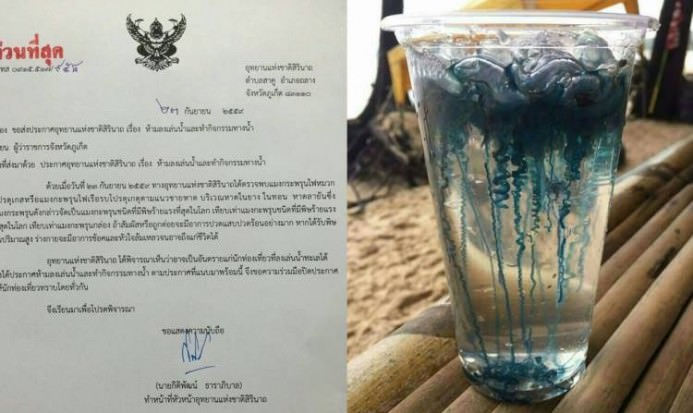 Portuguese man-of-war spotted off three Phuket beaches