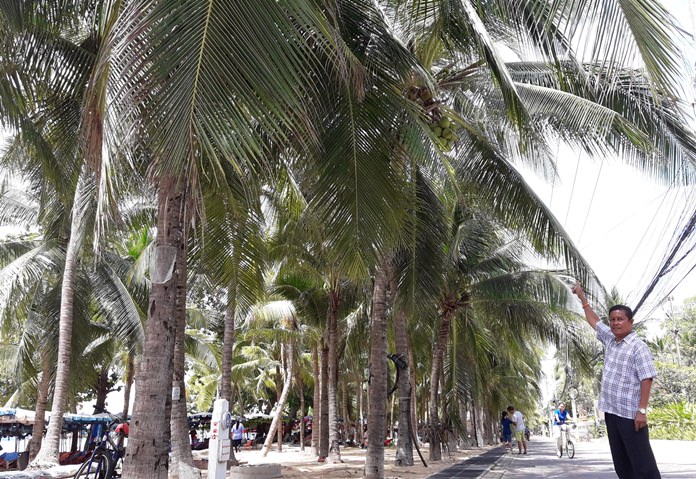Manop Sakorn, chairman of We Love Free Zone Dongtan Beach Group, has complained to city hall about how trees are obscuring shoreline lighting.