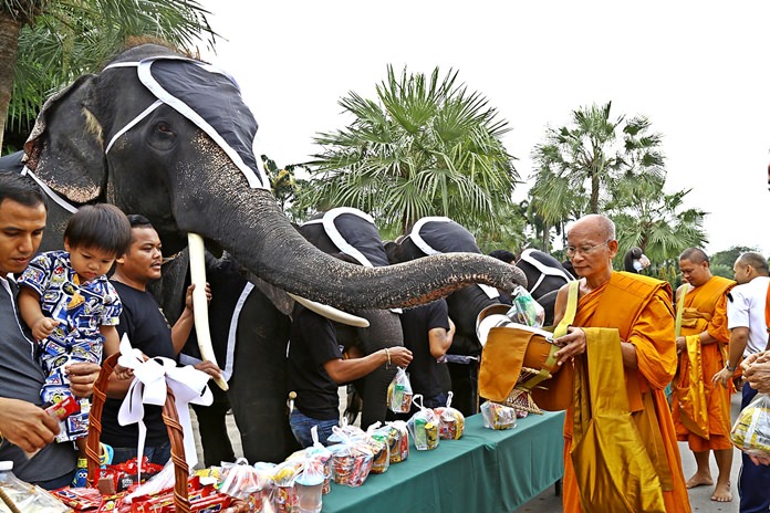 Staffers and elephants give alms to 140 monks from Khao Bampenboon Temple for Fathers’ Day and to mark 50 days since the death of HM King Bhumibol.