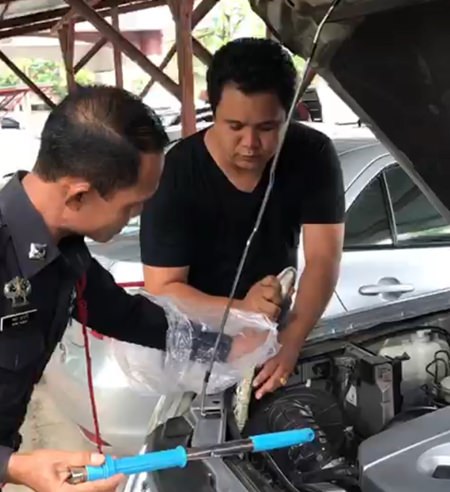 After opening the hood, Pol. Sr. Sgt. Maj. Amorn Nawari and coworkers found the head of a boa constrictor poking out of the engine compartment.