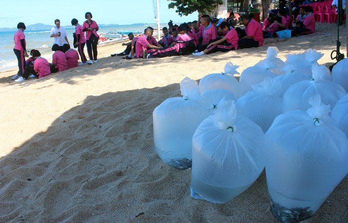 Pattaya commemorated World Environment Day by releasing nearly 50,000 fish into the sea.