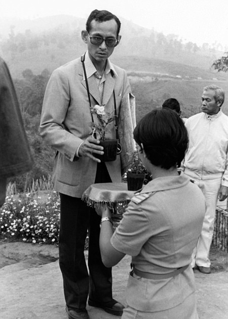 His Majesty King Bhumibol Adulyadej receives a small plant from a woman in 1981 as he makes a visit to one of his crop substitution projects in Northern Thailand. (AP Photo/File)