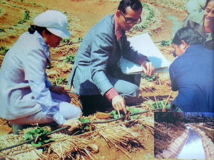 The Royal Development projects initiated by the King helped uplift the well-being of the hill tribe people in northern Thailand.