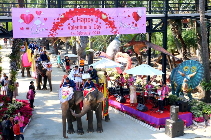 District Chief Pongphan Yomanart presides over registration for newlyweds on the back of elephants.