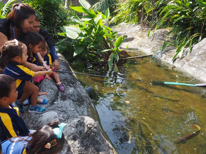 Kids have fun while learning about nature at summer school.