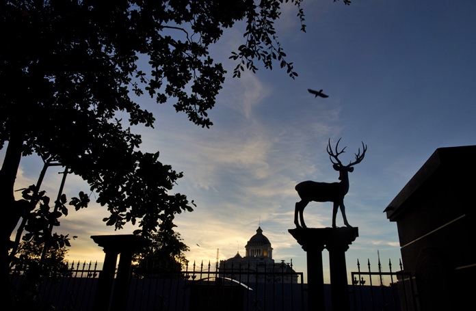 A bird flies over a sculpture of a deer fixed atop the boundary fence of Dusit Zoo as the Ananta Samakhom Throne Hall looms over in the background in Bangkok. (AP Photo/Gemunu Amarasinghe)