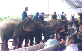 f2.JPG (44541 bytes)