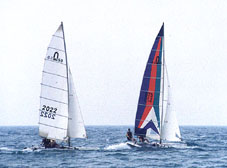 s12.jpg (16244 bytes)