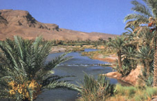 f16.jpg (24880 bytes)