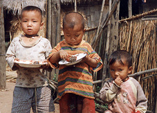 f12.jpg (42202 bytes)