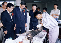 n6.jpg (24577 bytes)