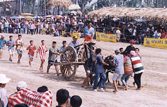 f11.jpg (38349 bytes)