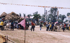 f12.jpg (25869 bytes)