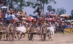 f14.jpg (34878 bytes)