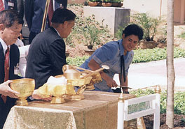 n1.jpg (30941 bytes)