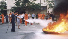 n6.jpg (22169 bytes)