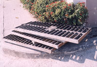 n8.jpg (21316 bytes)