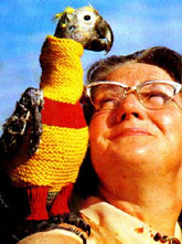 animal.jpg (26475 bytes)