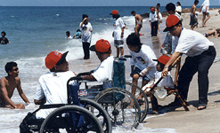 f91.jpg (38030 bytes)