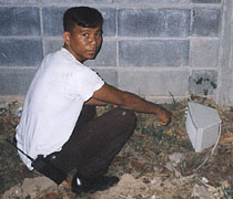 n8.jpg (21026 bytes)