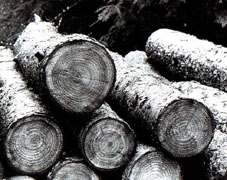 snap.jpg (29860 bytes)