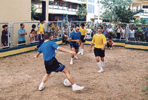 f21.jpg (25340 bytes)