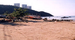 home.jpg (19093 bytes)